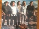 rare find - unopened Turtles vinyl LP in mint condition