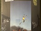yeah yeah yeahs cool it down yellow vinyl - new/sealed/autographed