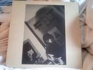 Felt - Primitive Painters - 12