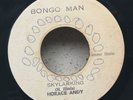 SKYLARKING - Horace Andy ( Legendary COXSONE Tune ) Original Ja 1972 BONGO MAN