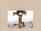 SHELLAC DUDE INCREDIBLE [LP] NEW LP