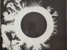 BAUHAUS. Vinyl Double LP. The Skys Gone Out & Press The Eject And Give Me The...