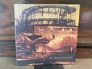 Red House Painters (Roller-coaster) 2015 double LP 4AD VG/VG+