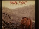 Final Fight Under Attack Vinyl American Nightmare Have Heart Killing The Dream