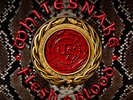 Whitesnake   Flesh & Blood   12