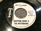 Question Mark & The Mysterians: Ain't It A Shame 1969 Tangerine 7'' Vinyl Record