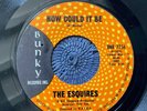 THE ESQUIRES - HOW COULD IT BE rare USA 1968 / NORTHERN SOUL / EX / EX+