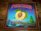 WB PROMO double LP ( PEACHES Vol. 2 ) w/ ALLMAN BROS Marshall Tucker KITTY WELLS
