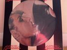 Blondie - Parallel Lines rare Picture Disc LP album (1978)