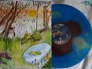 CAVETOWN ANIMAL KINGDOM  (Vinyl) (US IMPORT) blue green starburst rare