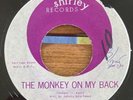 RAY AGEE The Monkey On My Back/Tragedy SHIRLEY 115 RARE Soul/Blues 45 STRONG VG