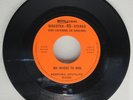 SEEBURG SPOTLITE BAND-NO WHERE TO RUN-45 RPM-1965