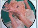 Madonna Take a Bow Picture Disc 7
