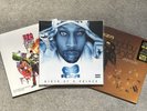 RZA / Bobby Digital 3 Vinyl LP Bundle Wu-Tang - Birth Prince, In Stereo, Bullet