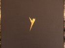 The Pop Group -Y (Definitive Edition) Box Set Gold  NM/NM