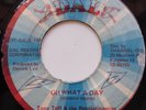 45 ROOTS / TONY TUFF & THE REVOLUTIONARIES / OH WHAT A DAY / DAL / LISTEN