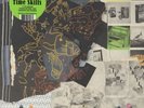 Animal Collective - Time Skiffs - New Vinyl Record double lp - Q326S