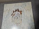 It's Complicated Being a Wizard by Portugal. The Man Vinyl blue Rare