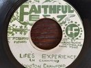Life's Experience - Hopeton Crawford