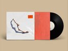 PJ Harvey I Inside the Old Year Dying (Vinyl) 12