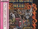 James Brown Hell 1974 Japan Original 2LP Vinyl Polydor MP9474/5 W/Obi VG+/VG+