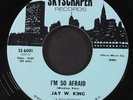 JAY W. KING: i'm so afraid / i don't have to worry SKYSCRAPER 7