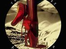 Kate Bush - The Red Shoes | [ Vinyl LP] |