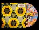 Calvin Harris and Tom Grennan - By Your Side | [ 12