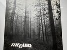 THE CURE 12