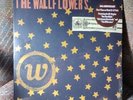 THE WALLFLOWERS Bringing Down The Horse LP 1st Pressing w/Hype New Bob Dylan Son