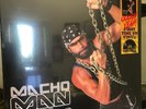 Macho Man Randy Savage - Be A Man - Purple Vinyl - NEW SEALED LP
