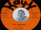 Doo Wop 45 JIM JACONO Take My Money / Jay Walking Kay-Y