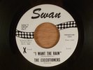 The Executioners  I Want The Rain (Vocal)/Instrumental  Promo RARE  Garage