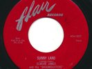 ELMORE JAMES - Sunny Land / Standing At The Crossroads - FLAIR - Blues R&B 45