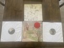 Margot and the nuclear so and sos - Not Animal 2008 Epic Records