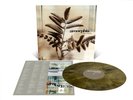 Amorphis Tuonela Galaxy Merge Black Metallic Gold Vinyl NEW SEALED