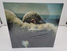 NEW CORNER WEAR -Beyonce -Lemonade (Double Yellow Vinyl LP) 180g