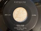 Rockabilly 45 Ronnie Gill - Geraldine EXPEDITE