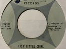 Garage 45 THE JUJUS You Treat Me Bad FENTON Hey Little Girl HEAR