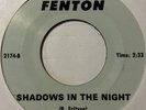 Garage 45 THE QUESTS Shadows In The Night FENTON What Can I Do HEAR