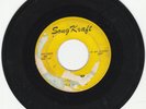 INDIANA  GARAGE GUITAR 45 THE NIGHT RIDERS 