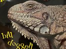 RARE JAZZ LP BILL DOGGETT MONSTER PARTY ORIGINAL FRENCH ODEON XOC 147
