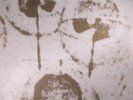 RADIGUE, Eliane - Vice Versa Etc - Vinyl (limited LP + insert)