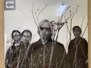 Tom Petty And The Heartbreakers Echo Original 1999 Ltd 180g 2x Vinyl Near Mint