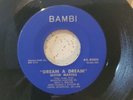 Mood Makers- Dream A Dream 45 Rpm Doowop Vocal Group VG++