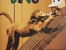 DEVO De-evolutionary Nascent Artifact LP - CLEAR VINYL -2022 End Time Rec SEALED