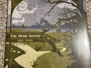 The Hush Sound Vinyl Like Vines Blue Green Split Splatter