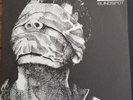 ASSUCK Blindspot record open records Grindcore Hardcord Rare