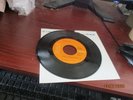 I can't help loving you- Cant get along very well / Paul Anka - RCA Victor MONO