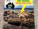 Hot Snakes - Thunder Down Under (2006) LP Vinyl Record Drive Like Jehu